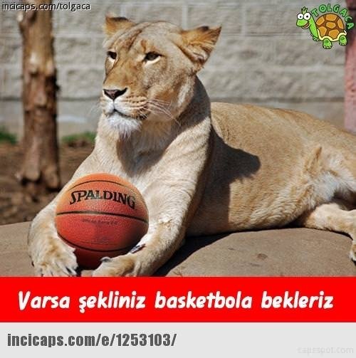 Galatasaray Eurocup’ta şampiyon oldu caps’ler patladı!