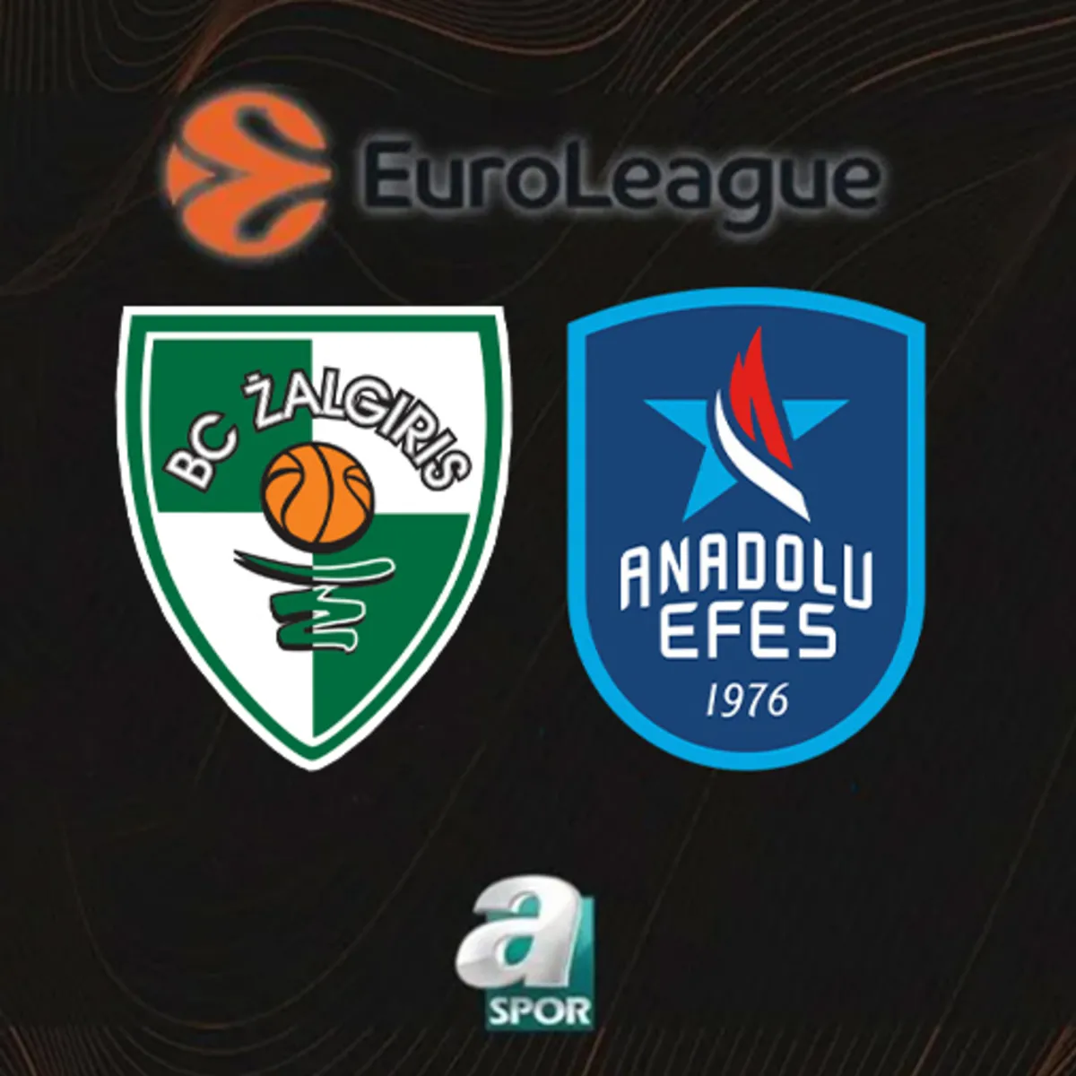 Zalgiris-Anadolu Efes maçı saat kaçta, hangi kanalda?
