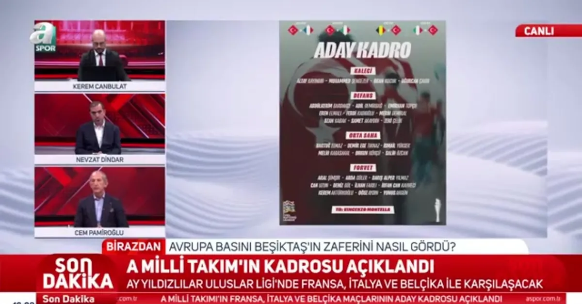 A Milli Takım'ın aday kadrosu açıklandı!