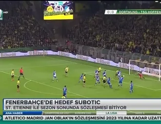 Fenerbahçe'de hedef Subotic