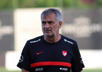 A Milli Takım hazırlıklarını sürdürdü