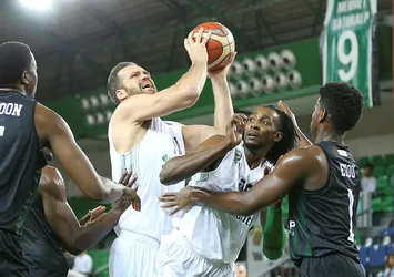 Darüşşafaka Tekfen'in konuğu Olympiakos