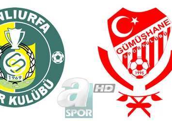 Şanlıurfaspor sahasında Gümüşhanespor ile berabere kaldı