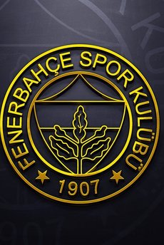 Fenerbahçe'nin yeni yıldızı İstanbul'da