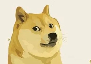 Dogecoin kaç TL oldu?