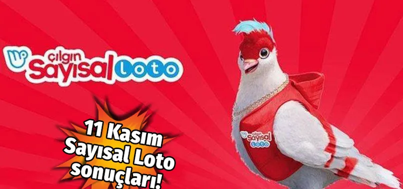 Çılgın Sayısal Loto çekildi! Çılgın Sayısal Loto sorgulama ekranı! 11 Kasım 2023 Çılgın Sayısal Loto sonuçları