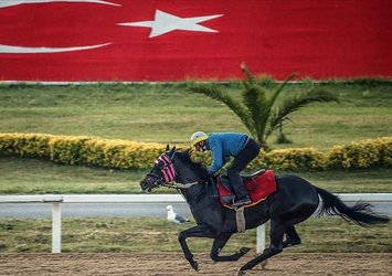 Corona virüsü sonrası at yarışları tekrar başlıyor!