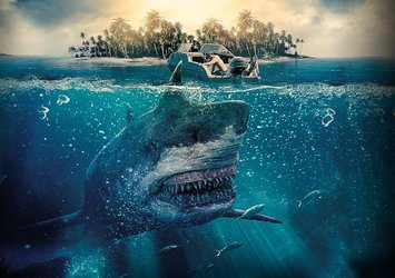 Zehirli Köpek Balığı filmi konusu ve oyuncuları kimlerdir?