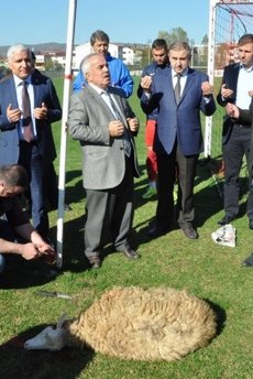 Galibiyet alamayan takım için kurban kestiler