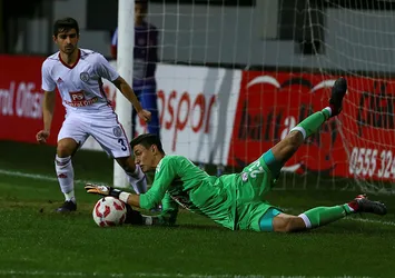Berke'den Webo yorumu: İnanamadım