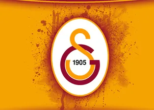 Sol bek borsası