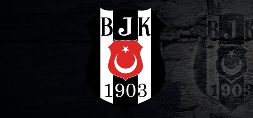 71qq1iixv6dzhm