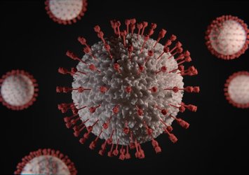 Kovid-19 Eris virüsü nedir, hangi ülkelerde görüldü?
