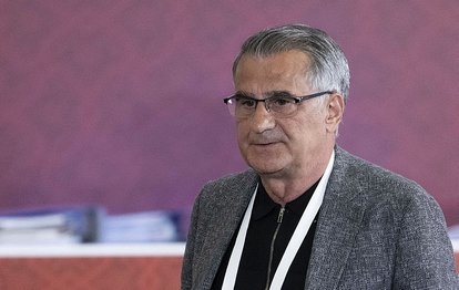 Beşiktaş Teknik Direktörü Şenol Güneş: Kurallara bağlı iş yapalım!