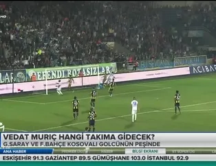 Vedat Muriç hangi takıma gidecek?