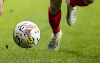 Romanya - Kosova maçı yarıda kaldı!