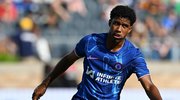 F.Bahçe’de 8 numara transferi Ocak ayına kaldı!
