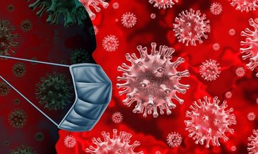 Yeni tip corona virüsü (Covid-19) nasıl yayıldı? Gündemi sarsan o kare!