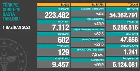 Türkiye'de corona virüsü vakası sayısı kaç oldu? Sağlık Bakanı Fahrettin Koca açıkladı (Türkiye Günlük corona virüsü tablosu - 1 Haziran) - 1