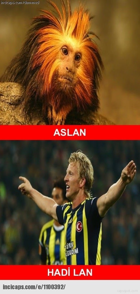 F.Bahçe galibiyet capsleri