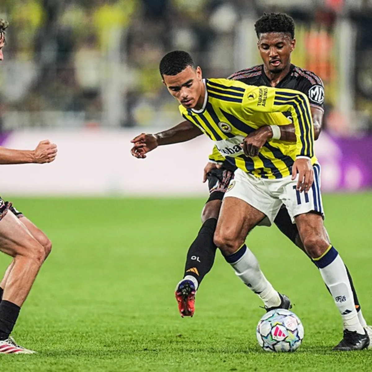 Fransız Medyası: Greenwood Yıldız, Kerem Hayal Kırıklığı