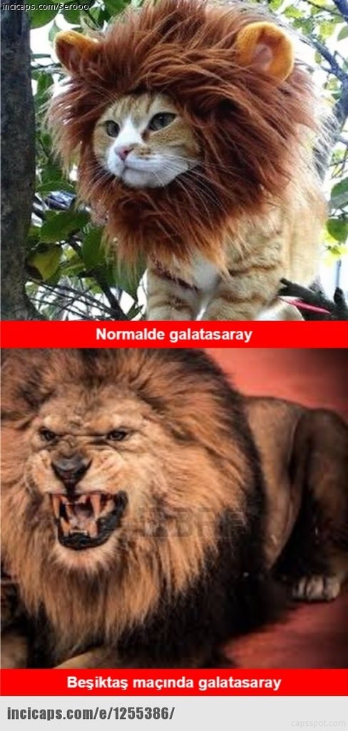 Galatasaray Beşiktaş capsleri...