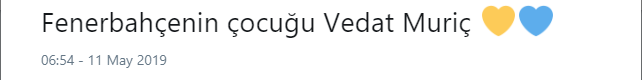 Vedat Muriç için olay sözler! Gerçek Fenerbahçeli oldu