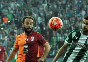 Aslan Bursa'da kayıp