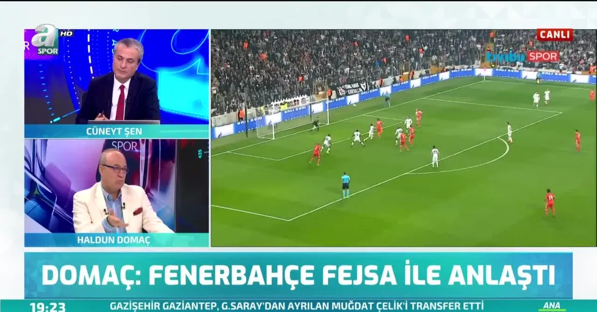 Haldun Domaç: "Fenerbahçe Fejsa ile anlaştı"