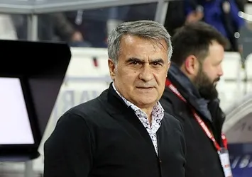 Şenol Güneş: İpler bizde
