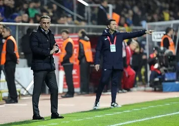 Havutçu umutlu