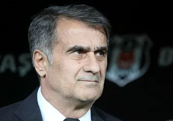 Şenol Güneş'ten sert tepki