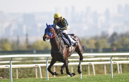 87. Cumhurbaşkanlığı Koşusu şampiyonu Grande Flusso oldu!