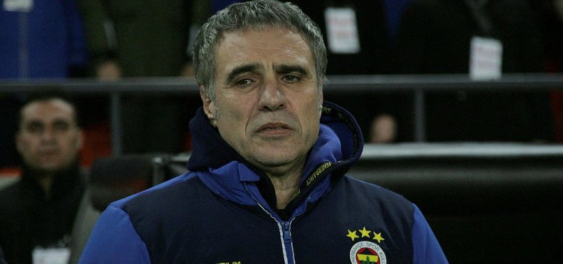 Fenerbahçe'ye gıdım gıdım