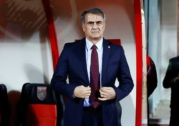 Bilge adam Şenol Güneş