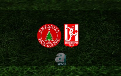 Ümraniyespor -Balıkesirspor maçı ne zaman, saat kaçta ve hangi kanalda? | TFF 1. Lig