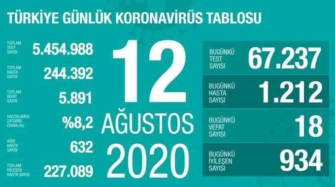 Türkiye'de corona virüsü vaka sayısı kaç oldu? Sağlık Bakanı Fahrettin Koca açıkladı - 1