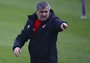 Şenol Güneş bol paslı oyuna dönmek istiyor