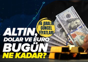 Euro, Dolar, Sterlin, Gram, Çeyrek, Yarım Altın Kaç TL oldu?