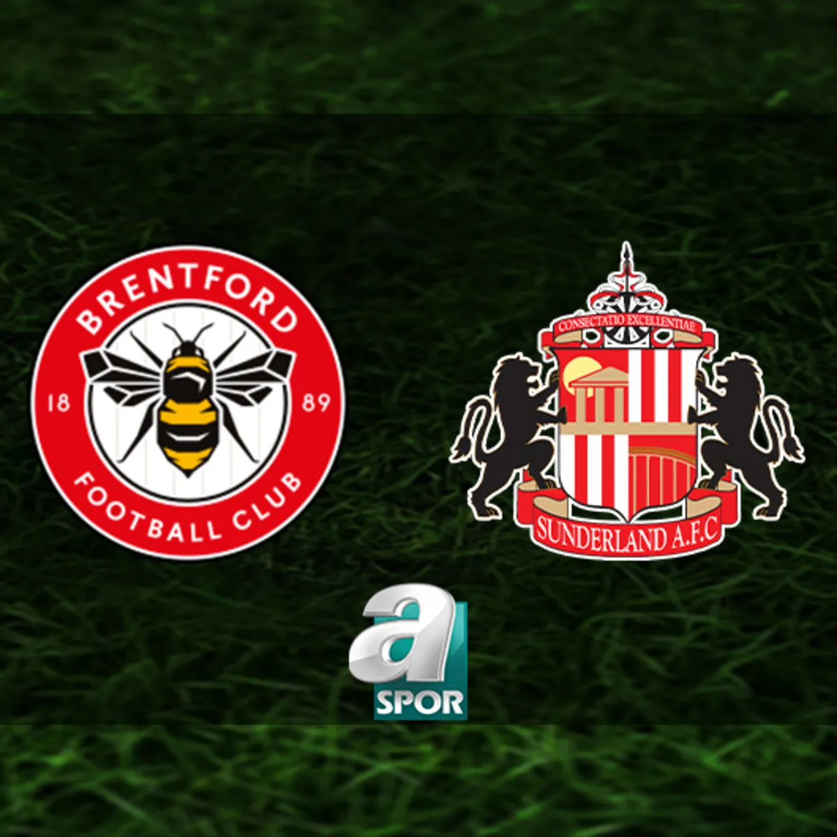 Brentford-Sunderland maçı ne zaman, saat kaçta ve hangi kanalda?