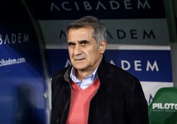 Şenol Güneş duruma el koydu