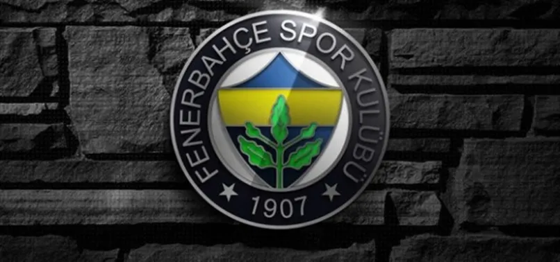 Fenerbahçe'nin borcu 4 milyar 719 milyon TL!