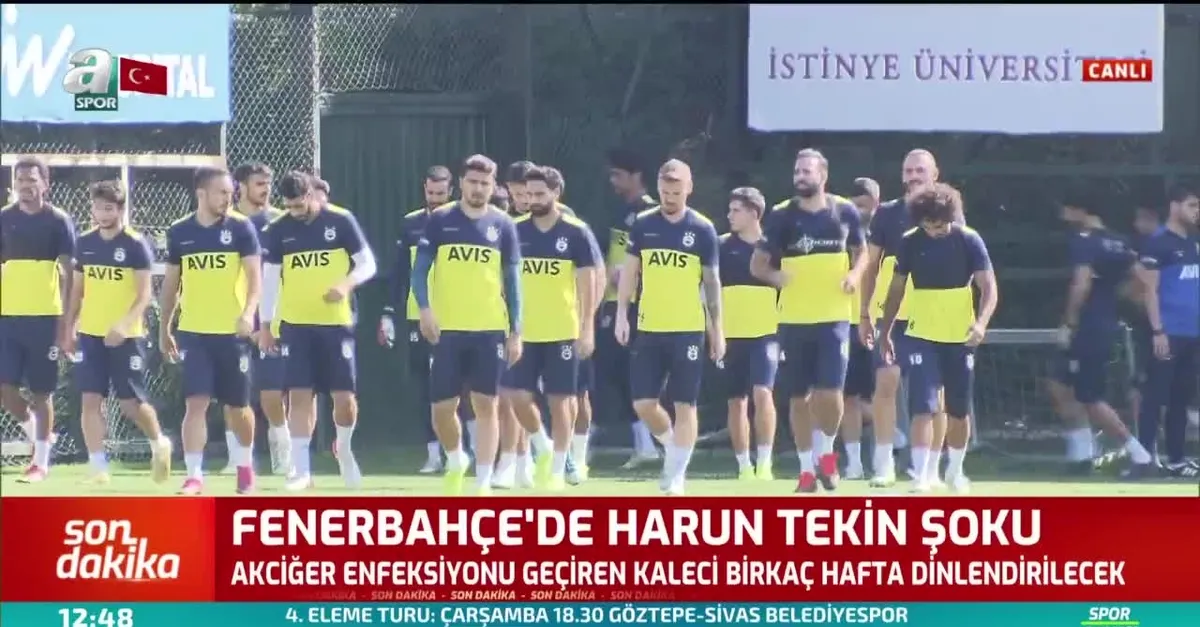 Fenerbahçe'de Harun Tekin şoku