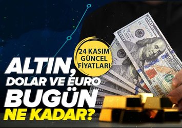 Euro, Dolar, Sterlin, Gram, Çeyrek, Yarım Altın Kaç TL oldu? 24 Kasım 2023 Döviz Kuru