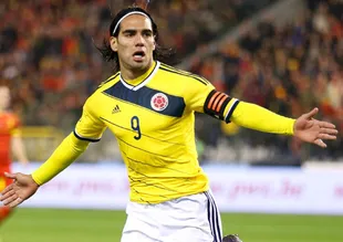 Falcao derbisi