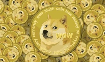 Dogecoin kaç TL oldu?