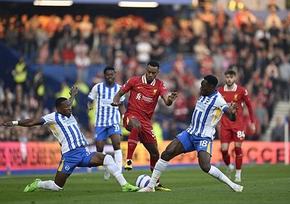 Şampiyon Brighton’a mağlup!