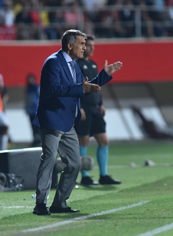 Türkiye - Özbekistan maçından kareler...