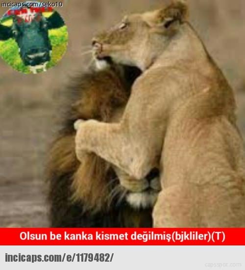 Beşiktaş - Trabzonspor caps’leri