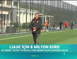 Ljajic için 8 milyon euro